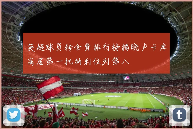 英超球员转会费排行榜揭晓卢卡库高居第一托纳利位列第八