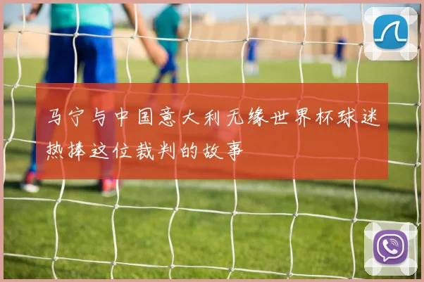 马宁与中国意大利无缘世界杯球迷热捧这位裁判的故事